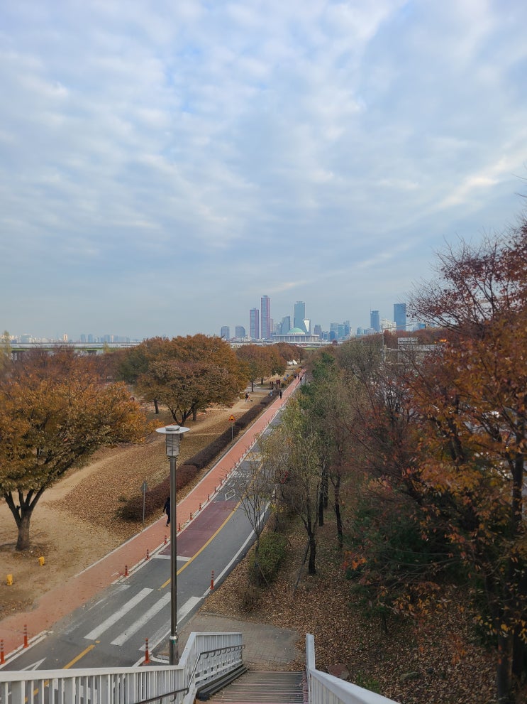  일요일 서울 데이트 코스 _영화보고 쇼핑하고, 히밥님 처럼한강 가서 라면 먹던 추천 코스