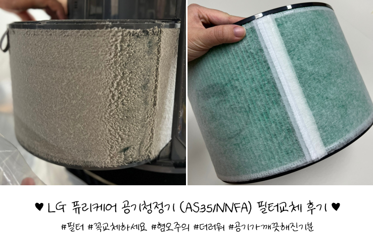 LG 퓨리케어공기청정기필터 (AS351NNFA) 교체 (혐오주의..)
