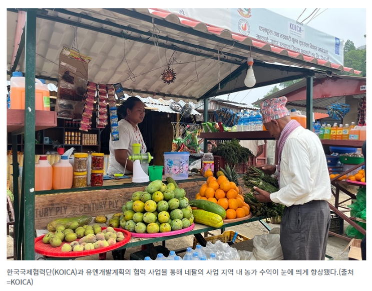 2030년까지 농업 분야 ODA 예산 2배로…식량직접지원 확대 2030년까지 농업 분야 ODA 예산 2배로…식량직접지원 확대