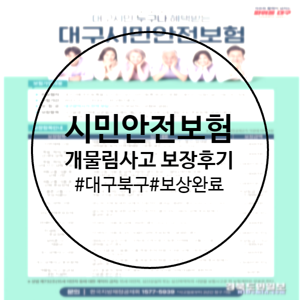 대구 북구 시민안전보험 개물림사고 보험 보장 신청 후기