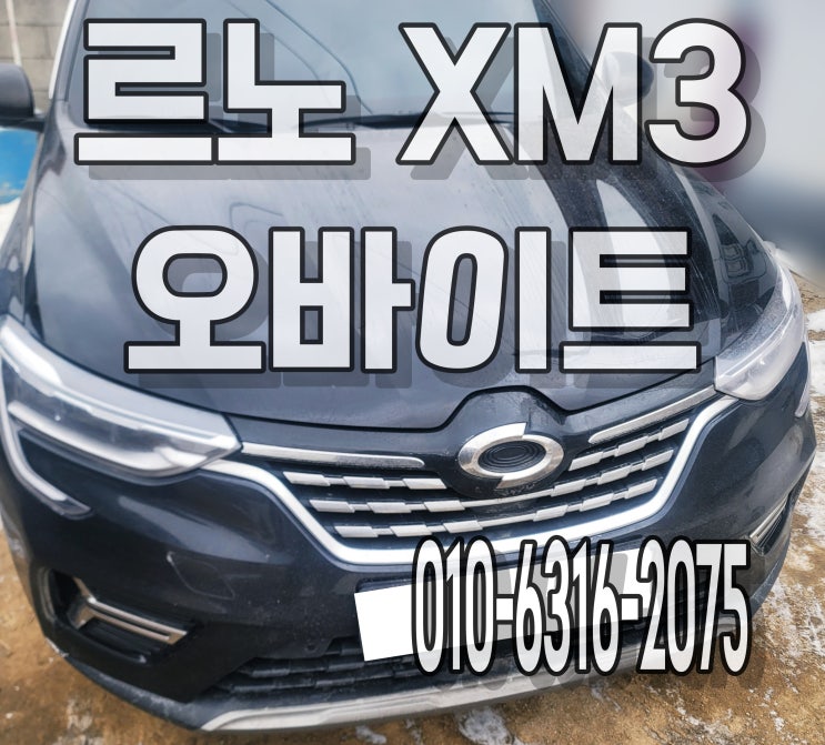  자동차 르노코리아 XM3 오바이트 특수세차로 깨끗하게 제거