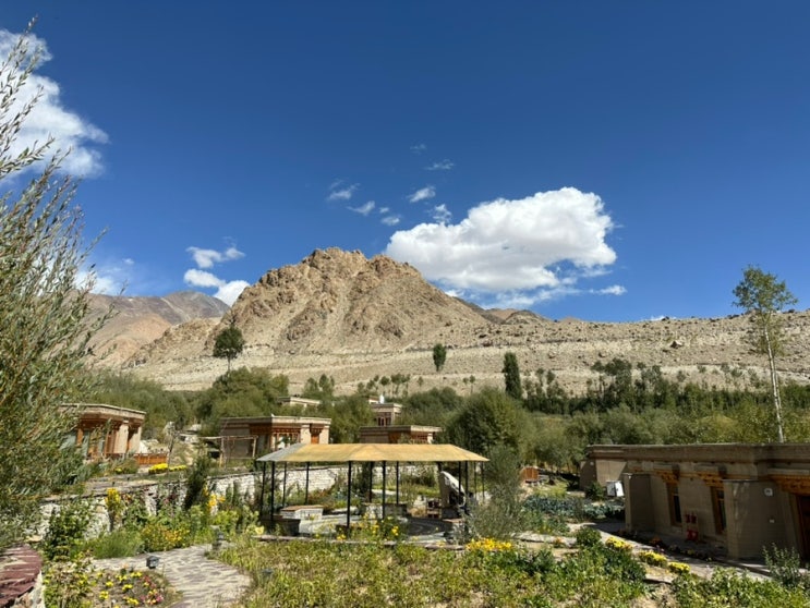  [북인도 라다크 여행3] 라다크 에코 리조트 (Ladakh Eco Resort)