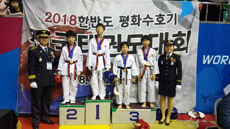  한반도 평화수호기 전국 태권도대회 입상