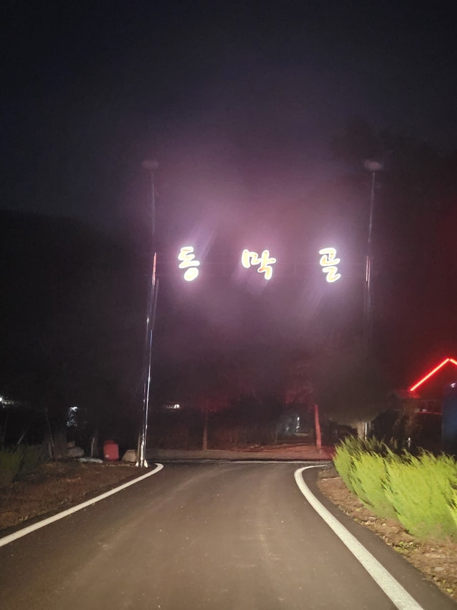 동막골송어 사진 2