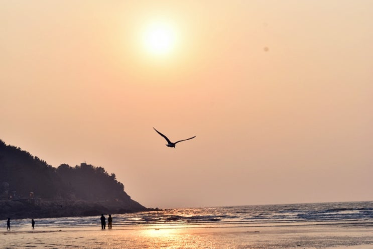 인천 영종도 숙소 을왕리해수욕장 바로 앞 연화문호텔을왕