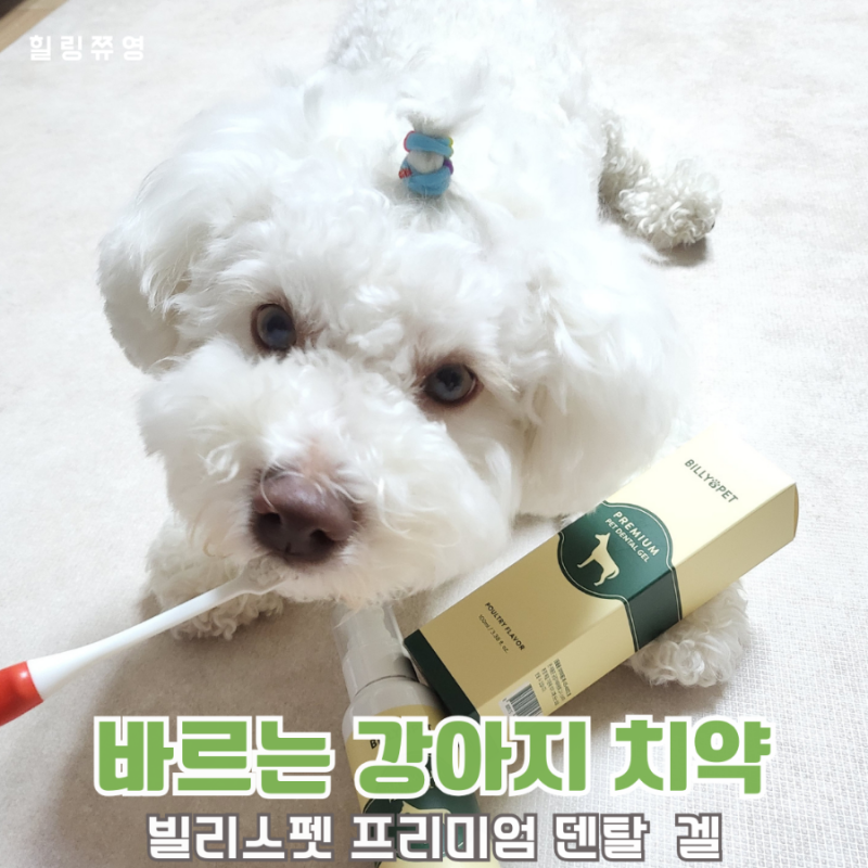 바르는 강아지 입냄새 제거제 빌리스펫 프리미엄 덴탈겔 치약