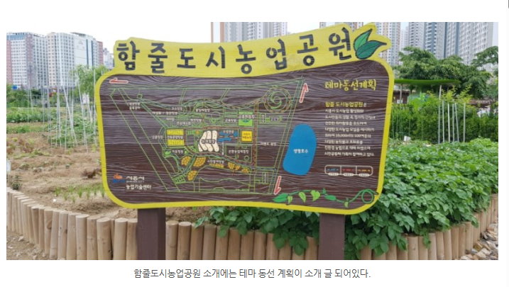 도시농업 텃밭 가꾸기