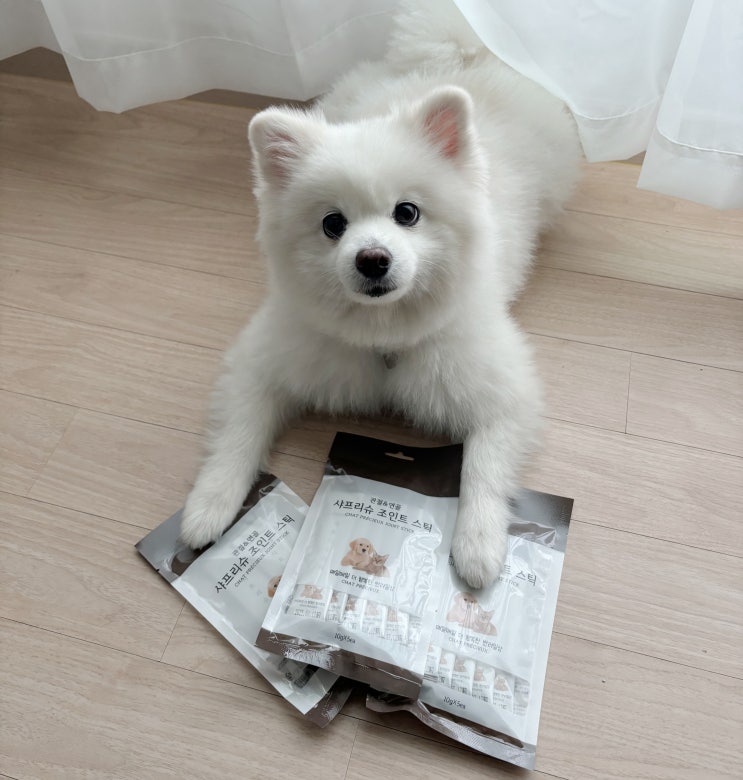 샤프리슈 관절 영양제 짜먹는 영양제로 우리강아지 슬개골탈구 관리!