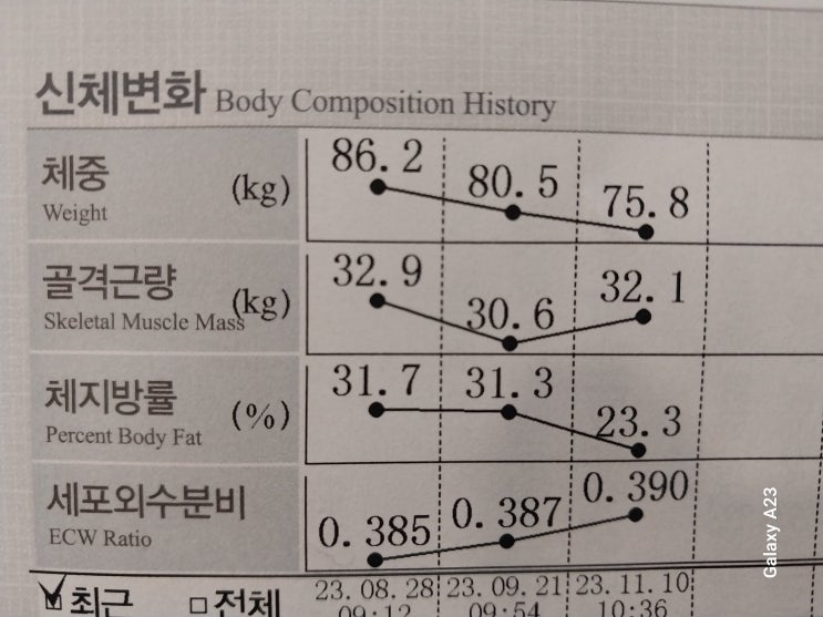  다이어트 성공 후기 2 탄