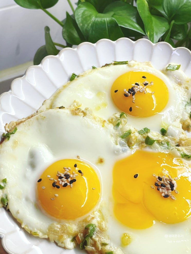 파기름계란후라이 들기름 계란후라이 하는법 반숙 만드는법 달걀요리(들기름보관법)