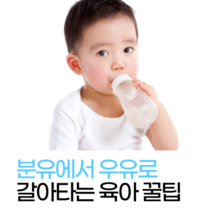  육아 꿀팁 분유끊고, 분유에서 우유로 적응시키는 법(feat.우유대체식품)