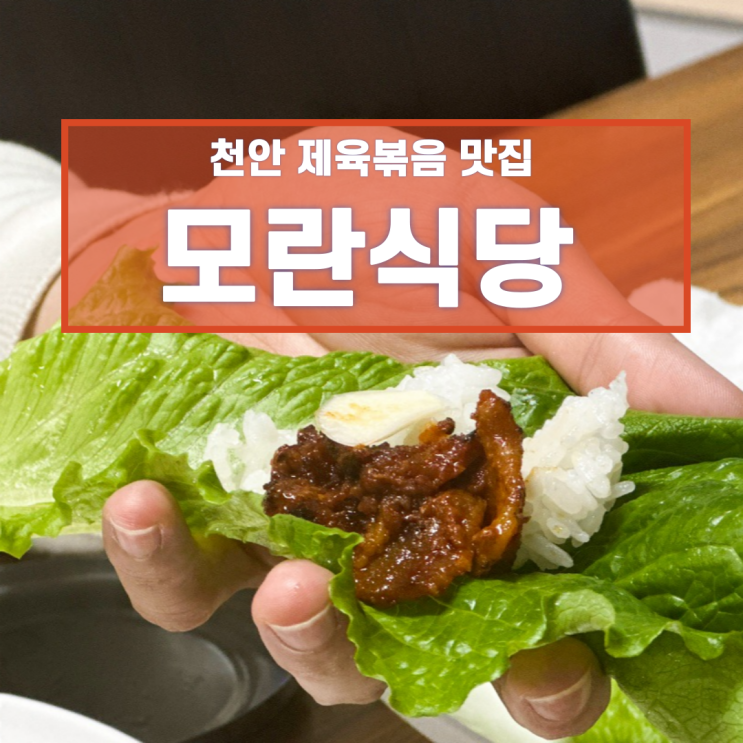  천안 제육볶음 맛집 성정동 모란식당 한식 백반 집밥 추천
