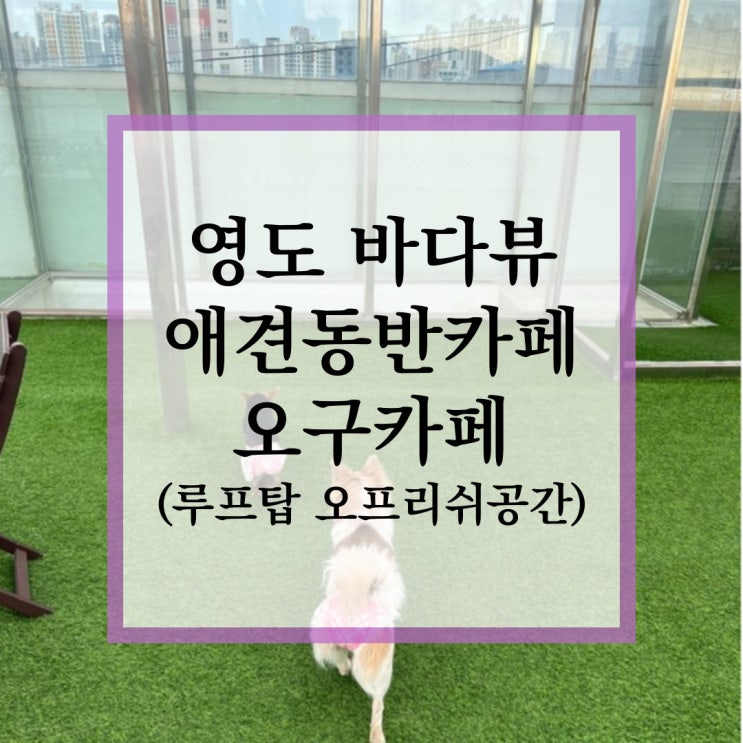  영도 바다뷰 애견동반카페 오구카페