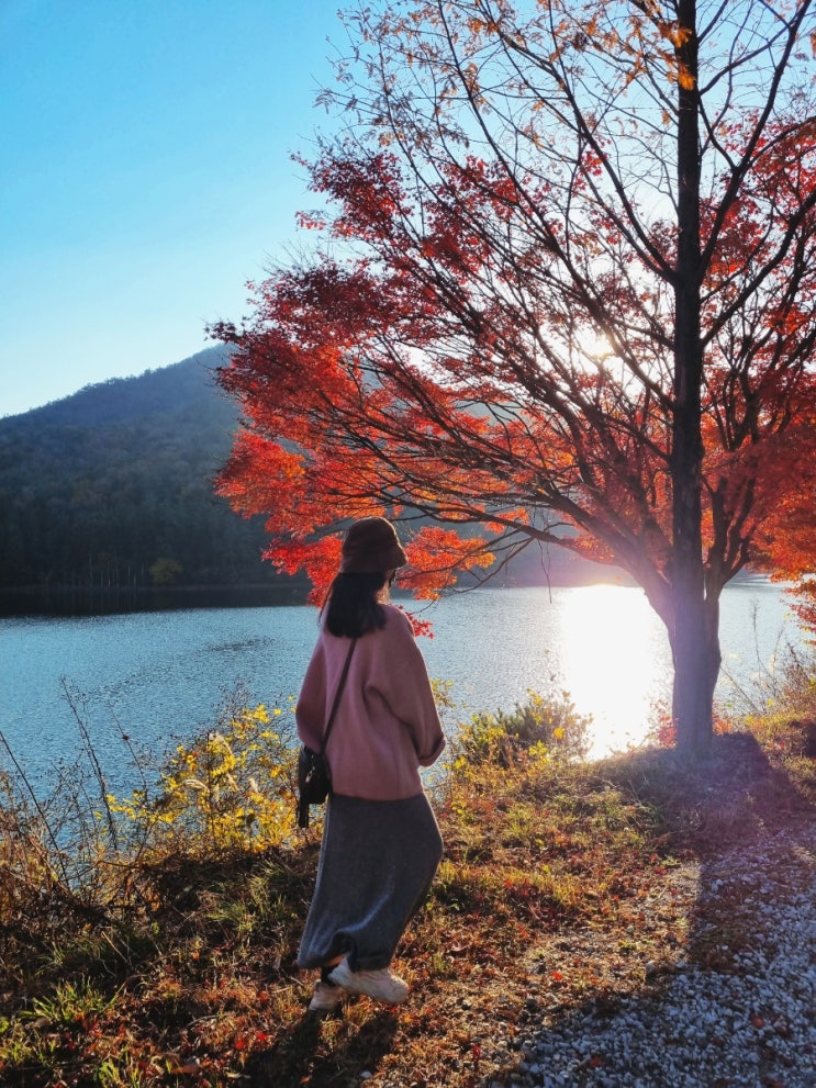  전남 보성 제암산자연휴양림 숙소 야영장 캠핑장 식당 국립공원 숲나들E 어플예약 방법