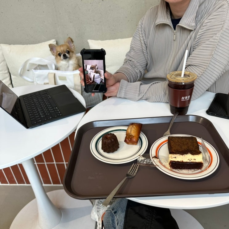  [카페 임초리] 가평 애견펜션 근처 분위기 좋은 애견동반 카페