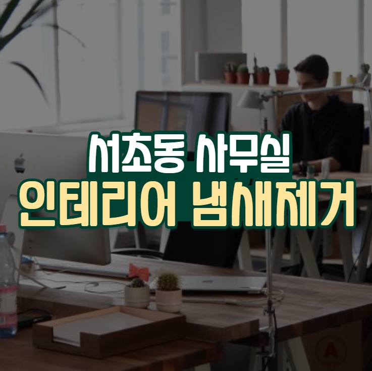  사무실 인테리어 냄새 제거의 효과적인 방법