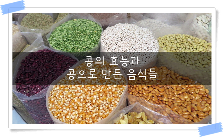  콩의 효능과 콩으로 만든 음식들