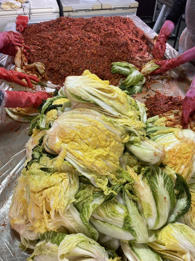  쓰고보니 먹다가 끝나버린 11월 일상