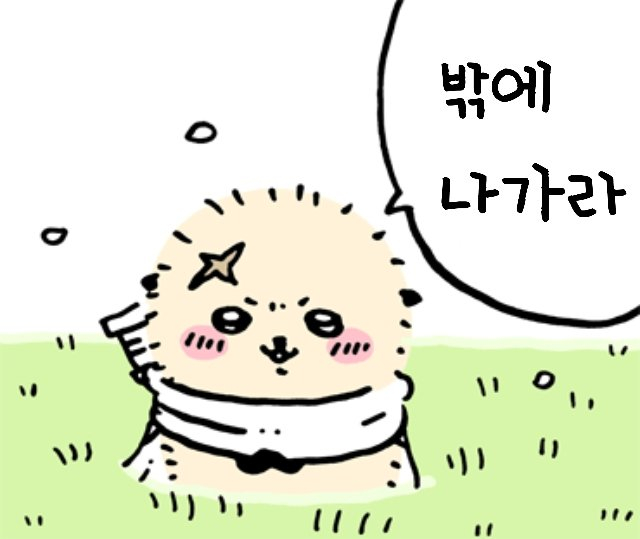  [10.21.23] 밖에 나가라