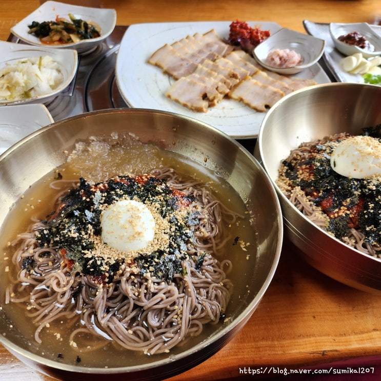 강릉 맛집 은행나무막국수 회비빔 막국수 수육 후기