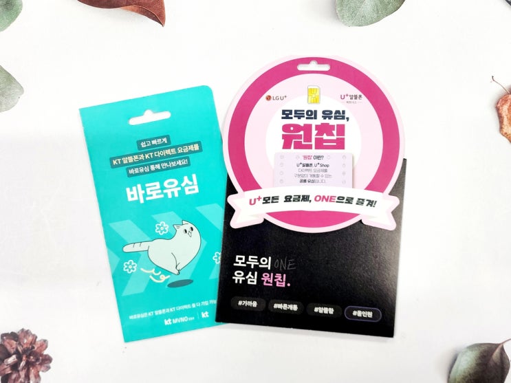  엔텔레콤 선불폰 유심 오늘 개통 방법