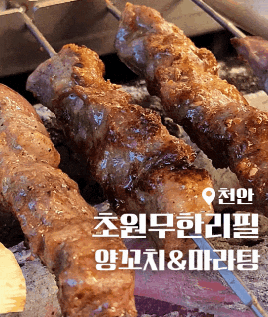  초원 무한리필 양꼬치&마라탕 천안 청당동 고기 맛집