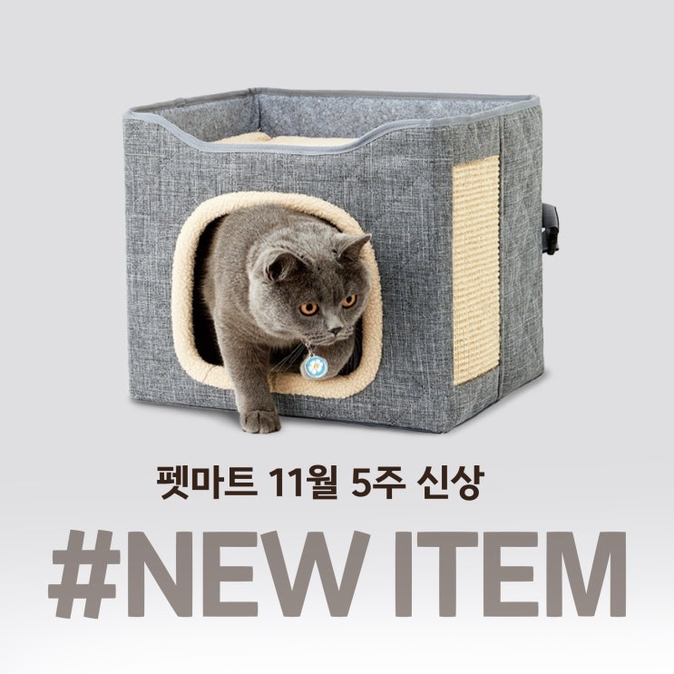  고양이 스트레스 해소와 치석제거에 효과적인 치킨오돌뼈 덤으로 강아지 재활 운동 보조 치료제!! 펫마트 11월 5주 신상 New item