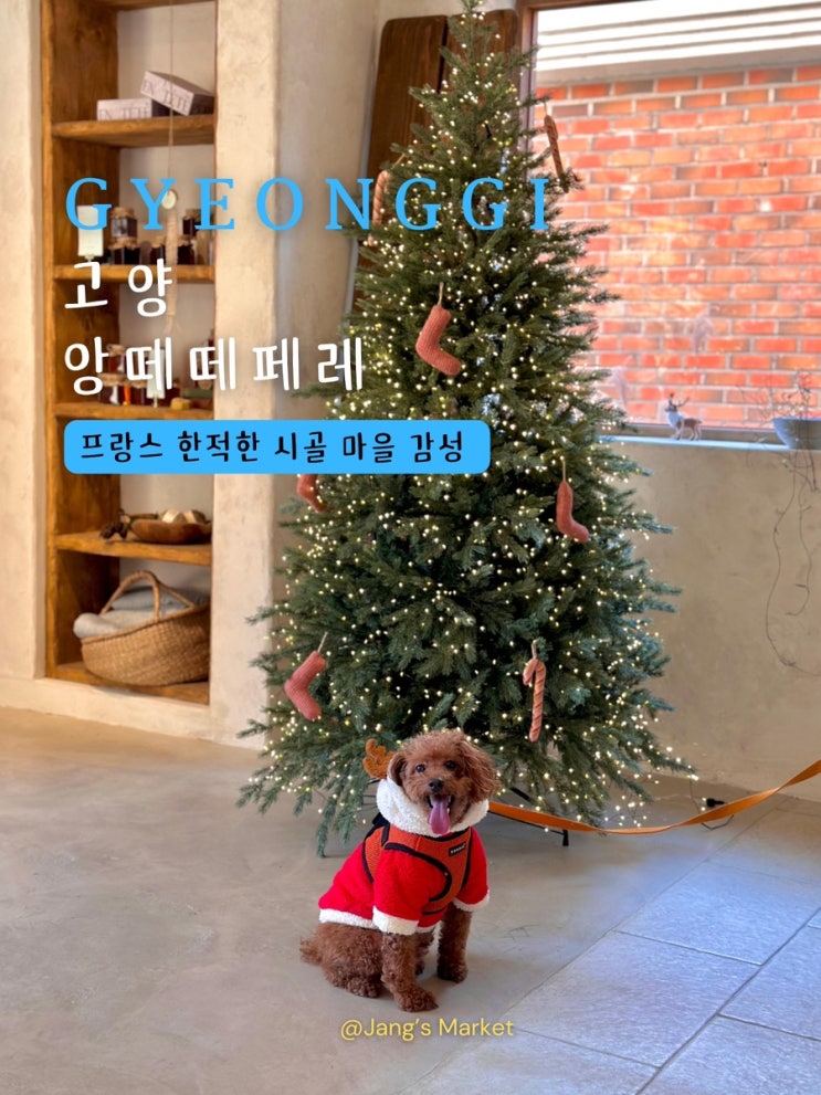 고양 카페 앙떼떼페레 : 서울 근교 애견동반 드라이브 크리스마스 감성
