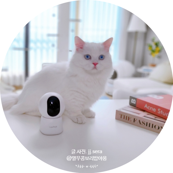 락시허브 스마트 홈캠 2K 반려동물 필수템 펫캠 강아지 CCTV