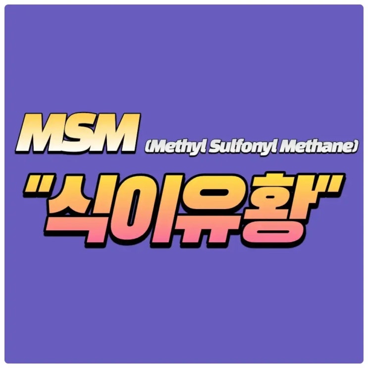  MSN관절영양제 프로테오글리칸으로 해결되는 이유 가격비교