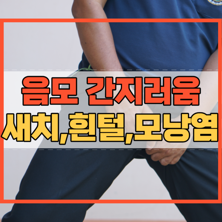  음모 간지러움 및 새치 흰털 모낭염 궁금증!