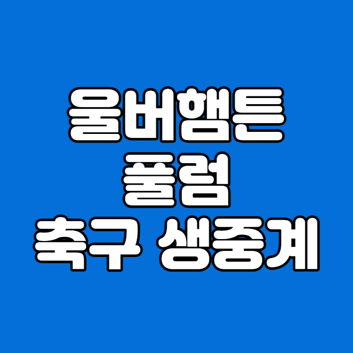28일 <b>황희찬</b> 선발 PL 13R <b>풀럼</b> FC 울버햄튼 원더러스 FC 경기... 