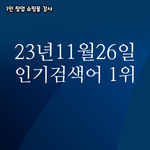  2023년 11월 26일 네이버쇼핑 분야별 인기 검색어 1위
