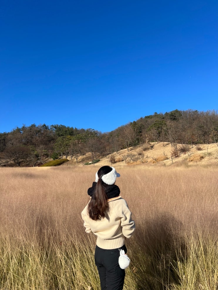  경기 여주ㅣ스카이밸리 골프패키지 여행 1편:: 레이크/마운틴 대중제코스 잔디 날씨 겨울골프옷