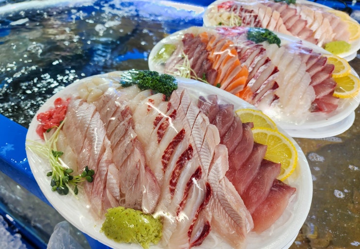  [수원맛집] 수원농수산물시장 횟집 싱싱한 활어회 전문 왕궁수산