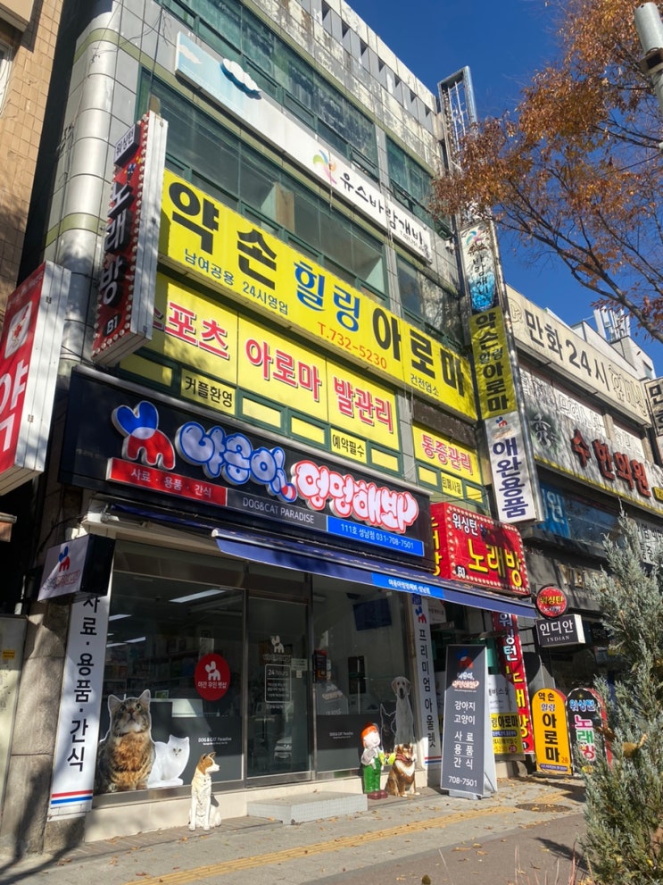 성남 신흥역 약손힐링마사지 커플 스포츠마사지 후기