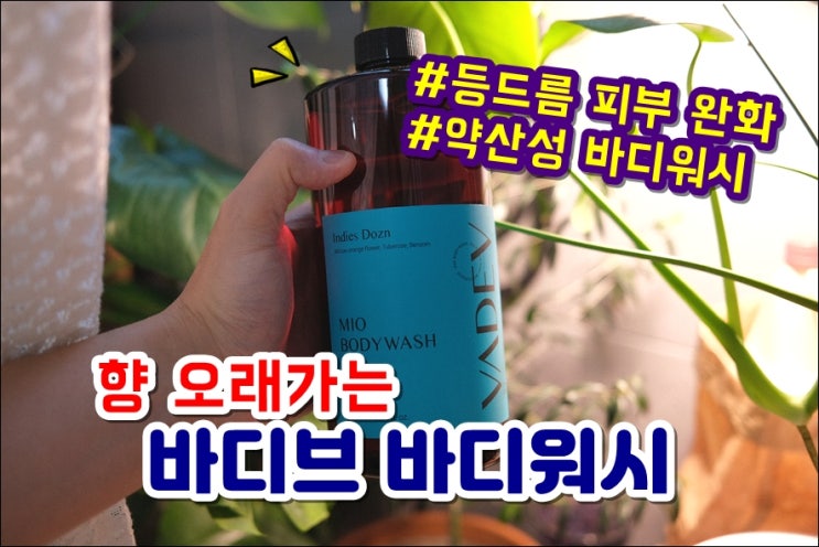  향오래가는바디워시 바디브 약산성 바디워시 등드름 피부가려움 비건