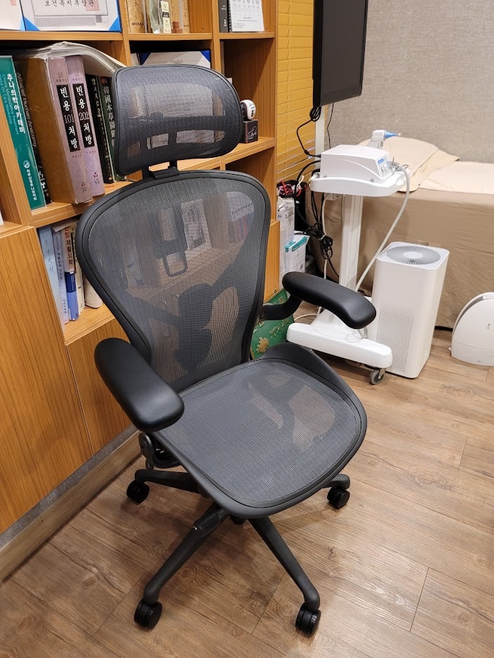  운동실패일지+허먼밀러 뉴에어론 구입기