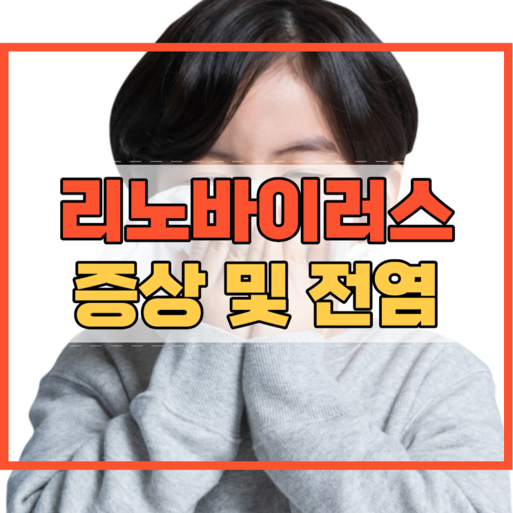  리노바이러스 증상 및 전염 감염증?
