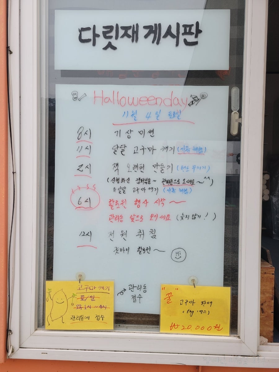 다릿재캠핑장 사진 3