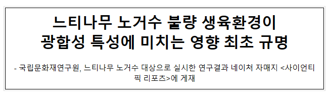 느티나무 노거수 불량 생육환경이 광합성 특성에 미치는 영향 최초 규명 느티나무 노거수 불량 생육환경이 광합성 특성에 미치는 영향 최초 규명