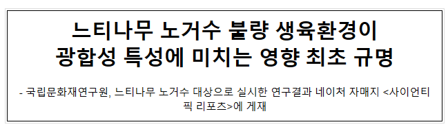 느티나무 노거수 불량 생육환경이 광합성 특성에 미치는 영향 최초 규명