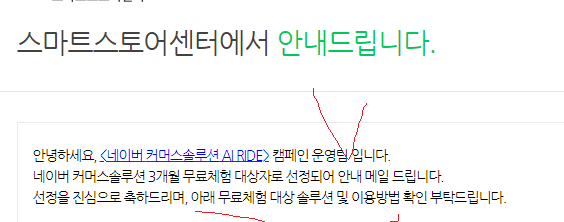  네이버 커머스 솔루션 AI RIDE 선정 후기!