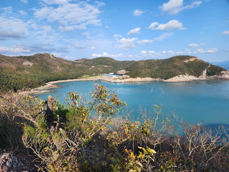  전남 진도 여행같은 접도 남망산 웰빙등산로를 걷는 등산코스로의 산행