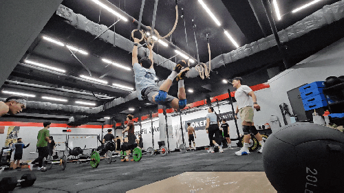  <쮼핏 10일지> 김해크로스핏 크로스핏 와드, 역도 동작 설명 (Pause Hang Clean, Pause Push Jerk)