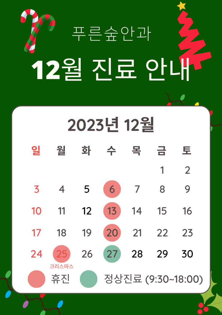  12월 진료 안내