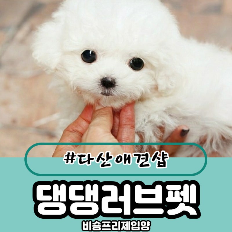 사진 3