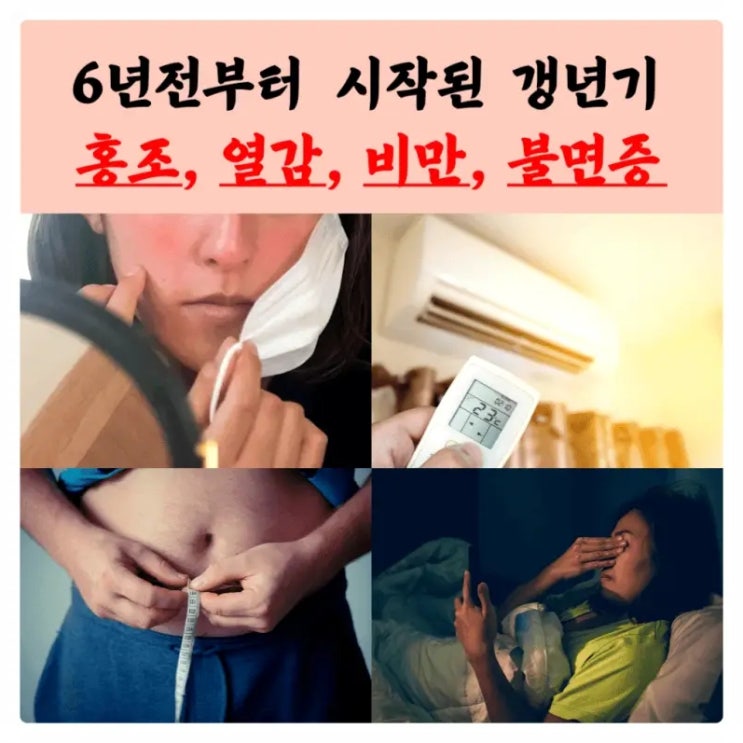 돈태반 미나 모아 영양제 후기