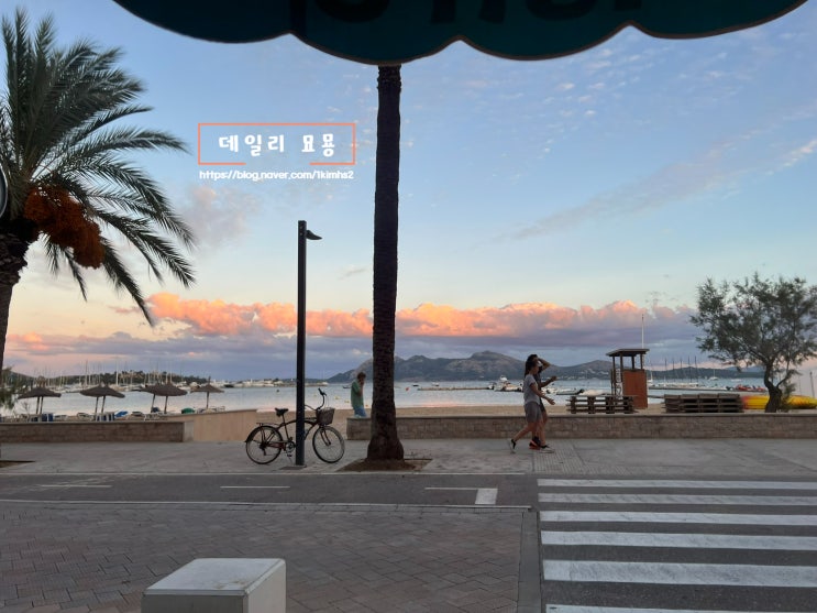  스페인 마요르카 여행 포옌사 해변 뷰 좋은 레스토랑 El Bistró Sail & Surf 방문후기