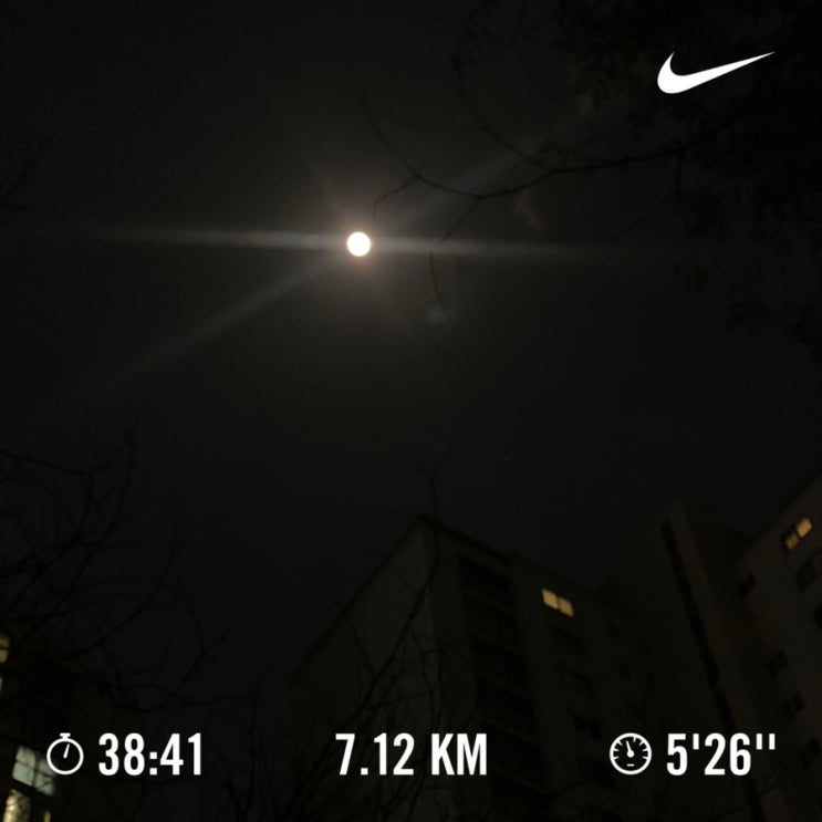  러닝로그_231127 해피월누백